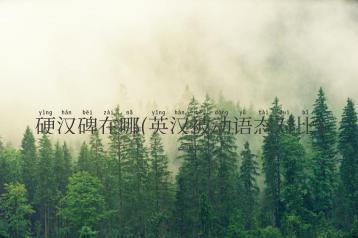 硬汉碑在哪(英汉被动语态对比)