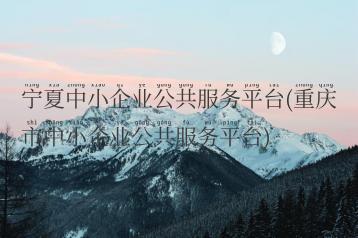 宁夏中小企业公共服务平台(重庆市中小企业公共服务平台)