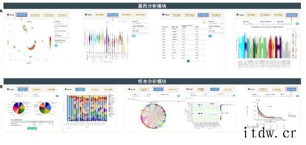 国家生物信息中心发布“癌症单细胞表达图谱”数据库:整合 20