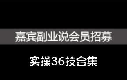 嘉宾副业说实操36技合集