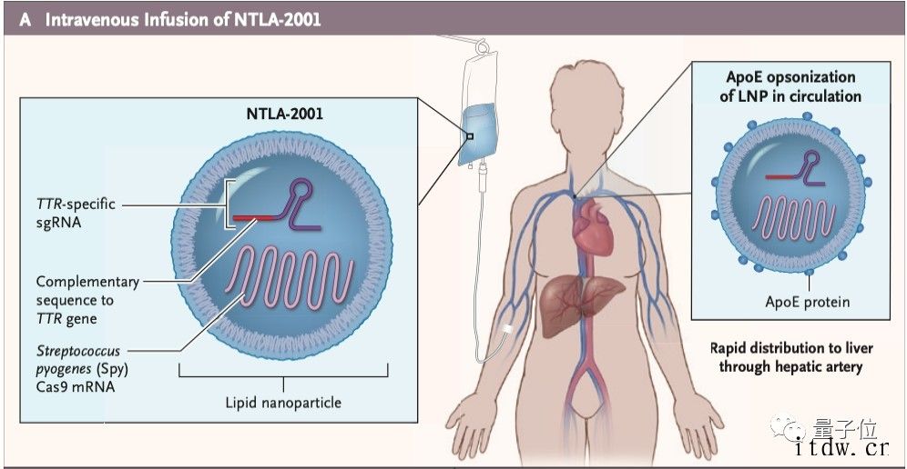 Nature年度科学十人十事出炉:“天问一号”总设计师张荣桥