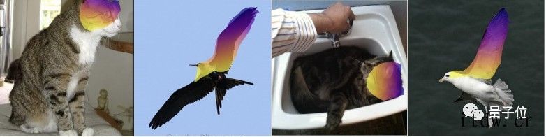 最新论文:用 GAN 监督学习给左晃右晃的猫狗加表情,很丝滑