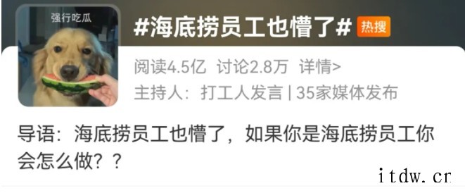 人类的悲欢本不相通:海底捞回应“庆生吵架同框”登热搜第一