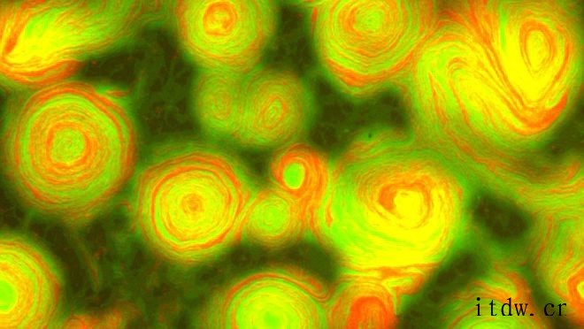 近期科学热文:冰冻的水熊虫将成为历史上第一种“量子纠缠”动物