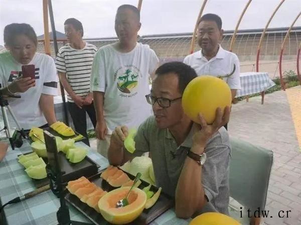 俞敏洪正式进军直播带货,新东方推“东方甄选”平台