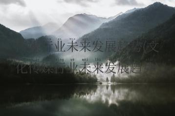 传媒行业未来发展趋势(文化传媒行业未来发展趋势)
