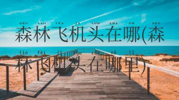 森林飞机头在哪(森林飞机头在哪里)