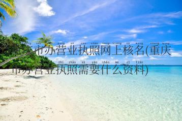 重庆市办营业执照网上核名(重庆市办营业执照需要什么资料)