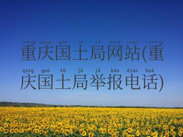 重庆国土局网站(重庆国土局举报电话)