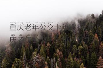 重庆老年公交卡年审点(重庆老年公交卡年审点最新)