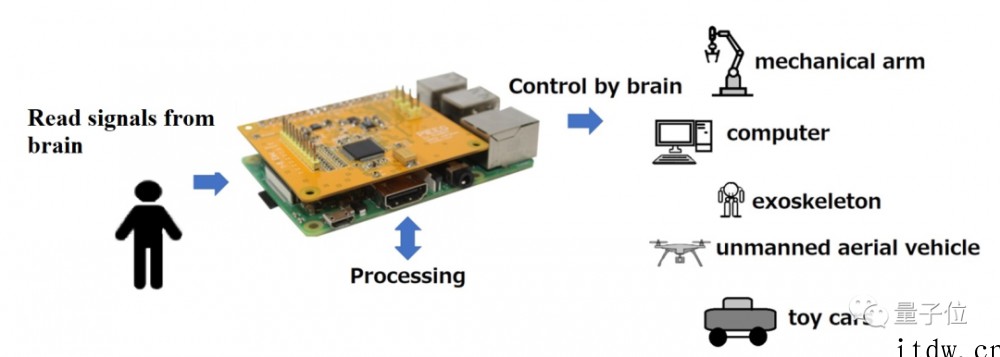 树莓派都能做脑机接口了:实时处理 8 个电极信号,人人用得起