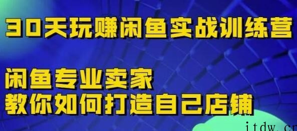 《30天玩赚闲鱼实战训练营》闲鱼专业卖家教你如何打造自己店铺