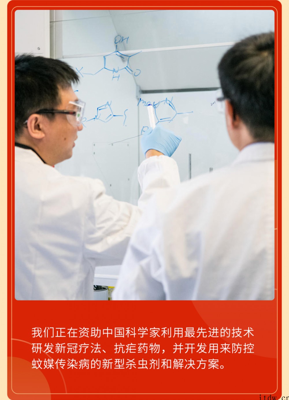 比尔盖茨送上新年祝福:愿大家虎年健康而富有成效
