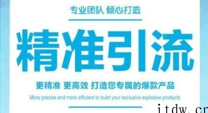 引流培训高级课，教你被动引流日均100+精准客户