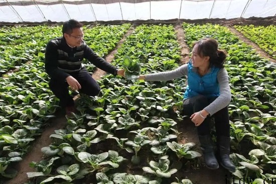 俞敏洪谈对新东方直播带货团队要求:脚踏实地稳健发展,最后超越