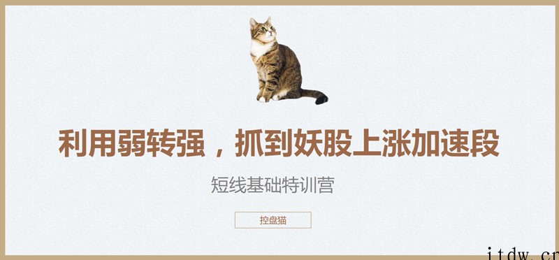 控盘猫短线基础特训营，控盘猫翻倍计划