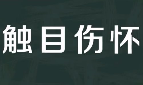 触目伤怀的意思是什么？