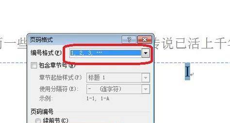 摘要和正文怎么设置不同的页码