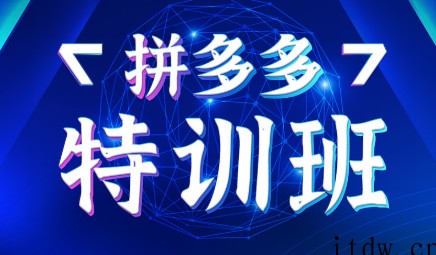 星雪教育·拼多多基础班+进阶班+突破班，价值3580元