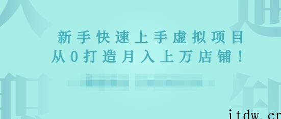 2022年虚拟项目实战指南，新手从0打造月入上万店铺