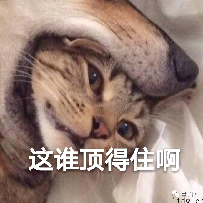 “程序员做饭指南”霸榜 GitHub,还用数学公式解决“吃什