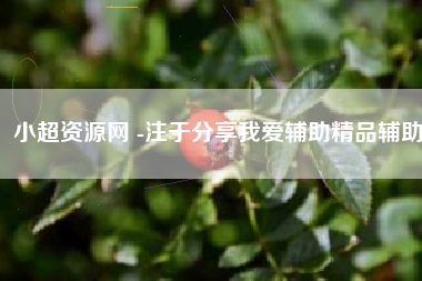 小超资源网 -注于分享我爱辅助精品辅助！