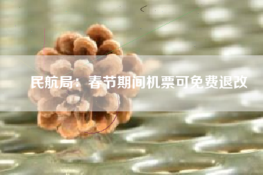 民航局：春节期间机票可免费退改