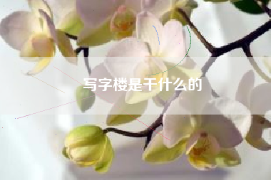 写字楼是干什么的