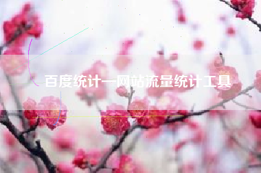 百度统计—网站流量统计工具