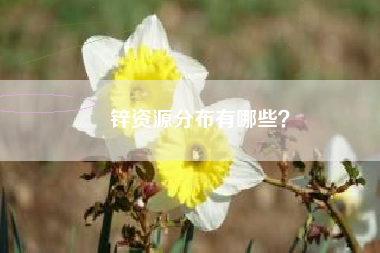 锌资源分布有哪些？