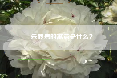 朱砂痣的寓意是什么？