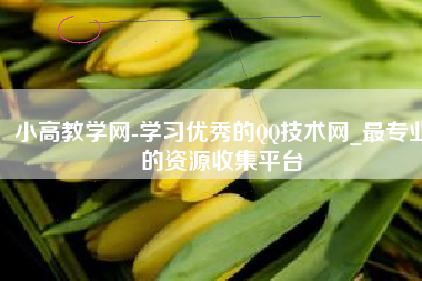 小高教学网-学习优秀的QQ技术网_最专业的资源收集平台