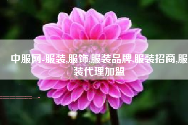 中服网-服装,服饰,服装品牌,服装招商,服装代理加盟