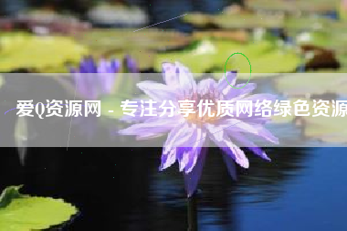 爱Q资源网 - 专注分享优质网络绿色资源
