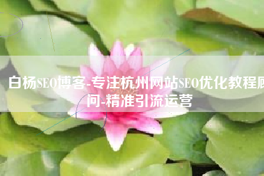 白杨SEO博客-专注杭州网站SEO优化教程顾问-精准引流运营