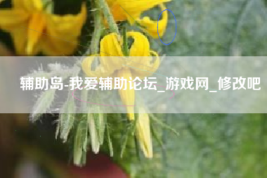 辅助岛-我爱辅助论坛_游戏网_修改吧  