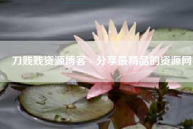 刀贱贱资源博客 - 分享最精品的资源网