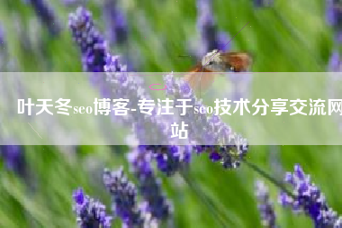 叶天冬seo博客-专注于seo技术分享交流网站