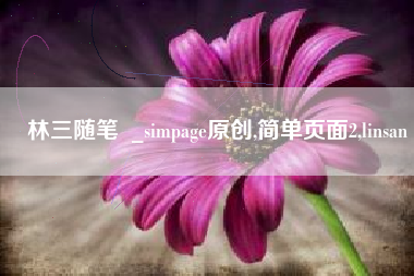 林三随笔  _simpage原创,简单页面2,linsan