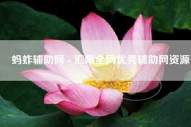 蚂蚱辅助网 - 汇集全网优秀辅助网资源