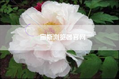 宙斯浏览器官网