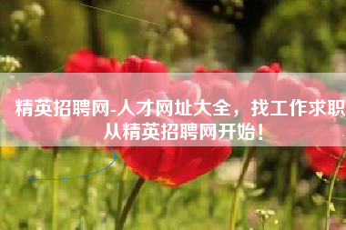精英招聘网-人才网址大全，找工作求职,从精英招聘网开始！