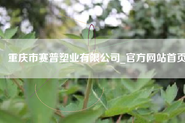重庆市赛普塑业有限公司_官方网站首页