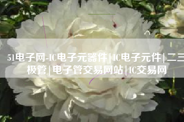 51电子网-IC电子元器件|IC电子元件|二三极管|电子管交易网站|IC交易网