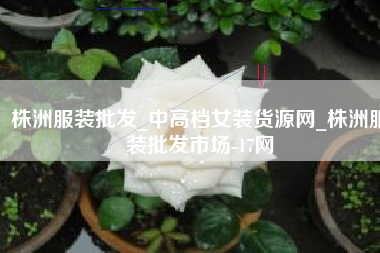 株洲服装批发_中高档女装货源网_株洲服装批发市场-17网