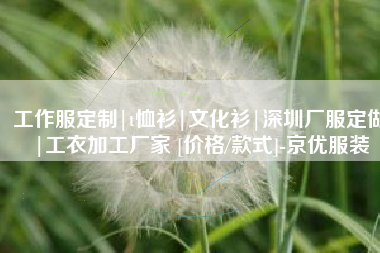 工作服定制|t恤衫|文化衫|深圳厂服定做|工衣加工厂家 [价格/款式]-京优服装