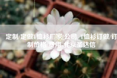 定制/定做T恤衫厂家/公司_T恤衫订做/订制价格/费用-北京圣达信
