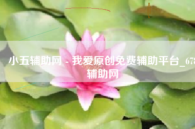 小五辅助网 - 我爱原创免费辅助平台_678辅助网