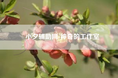 小夕辅助网-神奇的工作室