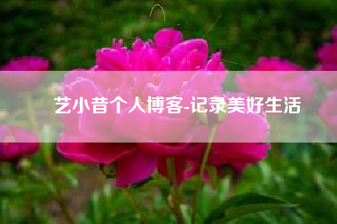 艺小昔个人博客-记录美好生活